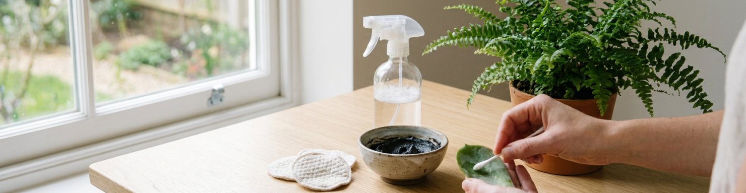 Traitement naturel contre la cochenille avec savon noir, pulvérisateur et coton-tige