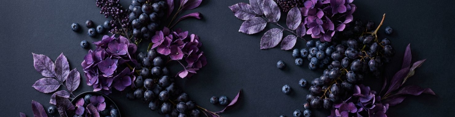 Variétés de cannabis violet de collection riches en anthocyanes