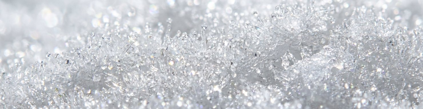 Trichomes cristallins caractéristiques des buds white widow qui expliquent son nom iconique