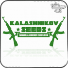 Kalashnikov Seeds
