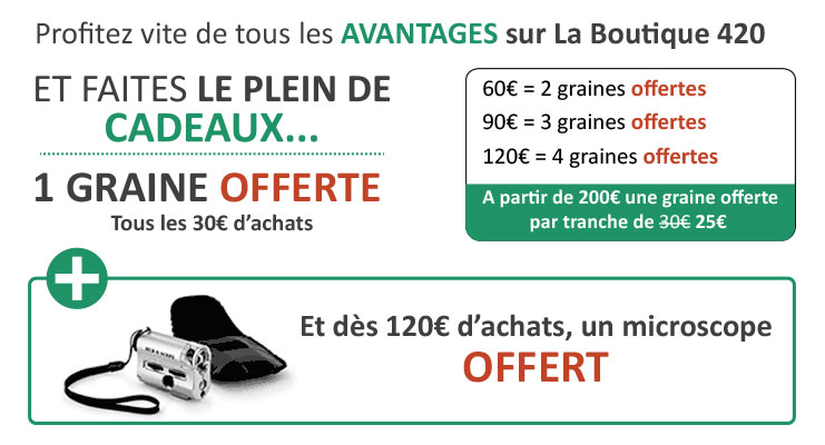 cadeaux obaragraines