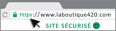 site sécurisé protocole https