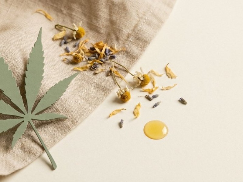 CBD aphrodisiaque : ce que la science nous apprend sur ses effets sur la libido