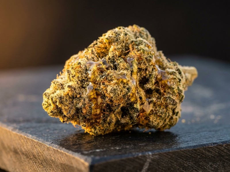 Moon Rocks cannabis : composition, origine et version CBD légale en France
