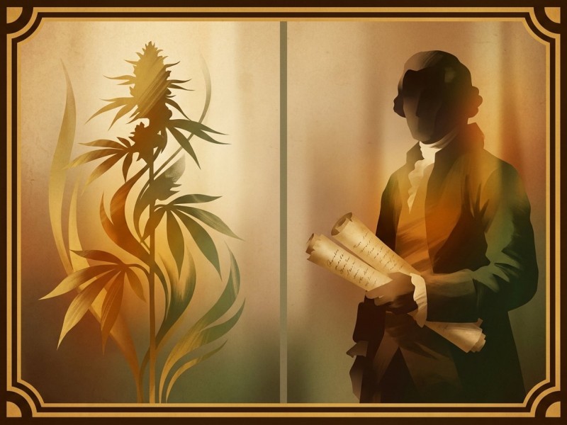 Jack Herer : variété emblématique de Sensi Seeds et hommage à l'activiste cannabis