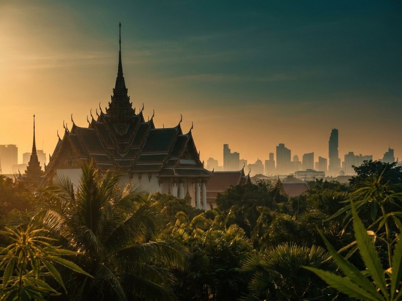 Cannabis en Thaïlande : histoire, légalisation 2022 et recriminalisation 2025