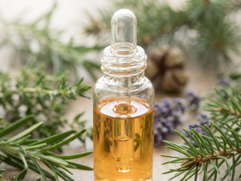 Terpinolène : profil aromatique, effets et variétés de cannabis riches en ce terpène