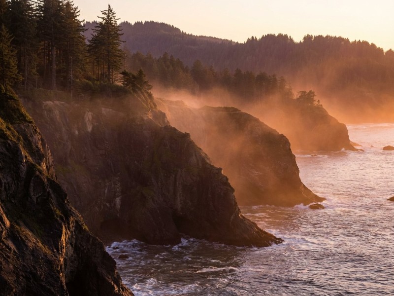 Humboldt Cali : berceau cannabis du Triangle d'Émeraude