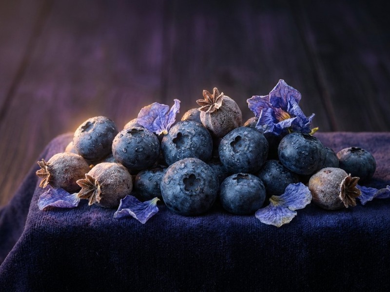 DJ Short Blueberry : le breeder légendaire et la génétique de sa variété culte