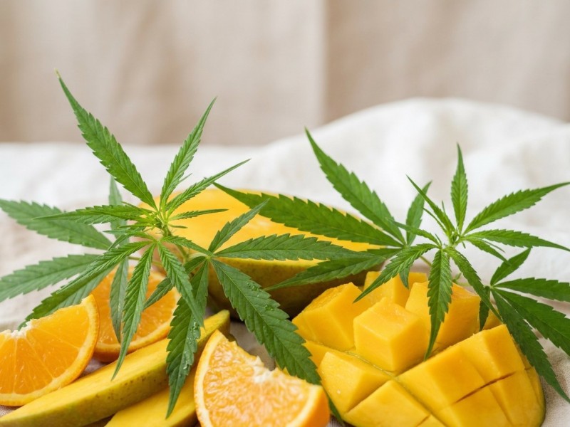 Green Crack : génétique Skunk, arômes de mangue et héritage d'une sativa de collection