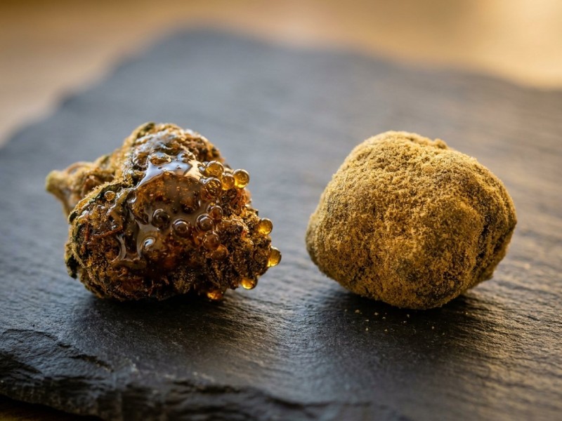 Caviar de cannabis ou moon rocks : comprendre la différence entre ces concentrés premium