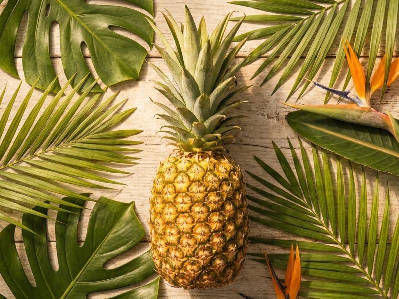 Pineapple Express : du film culte de 2008 à la variété hybride mythique