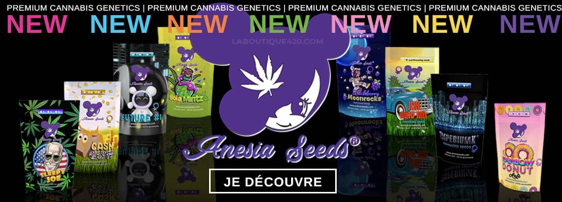 Anesia Seeds - Variétés de graines de cannabis Féminisées et Autofloraison