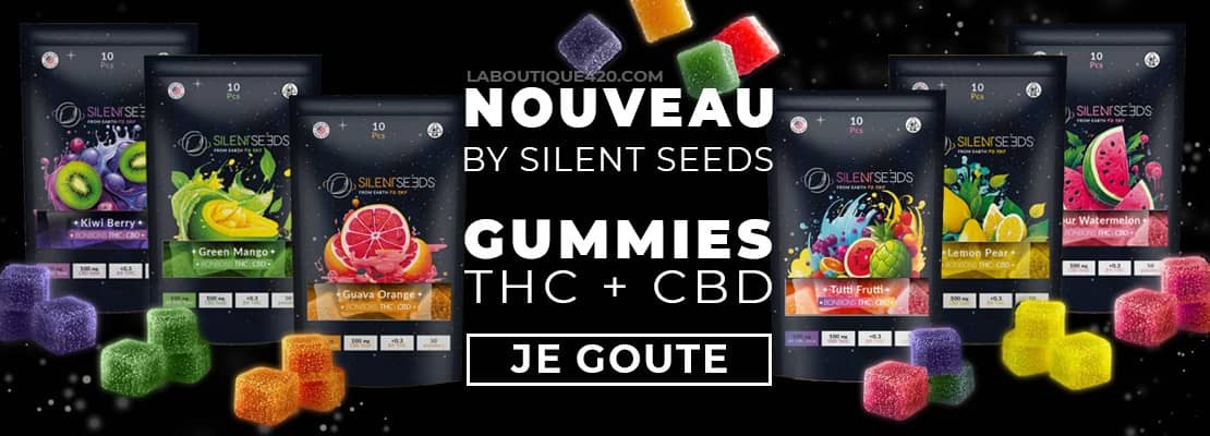 Gummies CBD + THC Delta 9 Silent Seeds