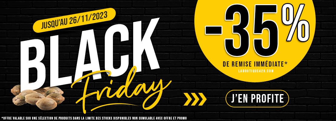 Graines de cannabis pas cher| Promotions du Black Friday