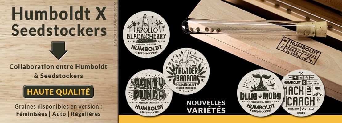 La sélection SEEDSTOCKER X HUMBOLDT au meilleur prix